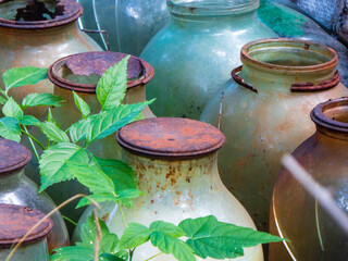 Old Glass Jars With Rusty Lids