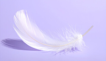 Obraz premium Single Feather on Clean Pastel Lavender Surface