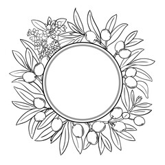 Olive Branch with Flowers, Berries and Leaves Outline Round Frame. Organic natural nutritional healthy food ingredient, vegetarian diet product. Vector isolated for design or decoration.