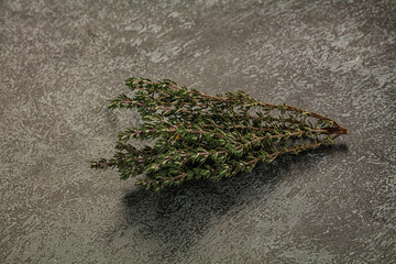 Fresh green Thyme branch isolated