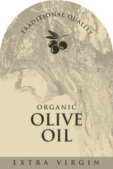 Vector design of olive or olive oil label with old olive tree and olives in vintage style. Logo, packaging design, sticker, banner. No AI used