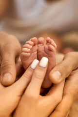 Newborn Baby Feet in Parent's Hands