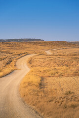 Dirt Road Through Golden Semi Desert Landscape In Bardenas Reales Natural Park Navarra Spain. Biosphere Reserve, Badlands Trail, Arid Vegetation
