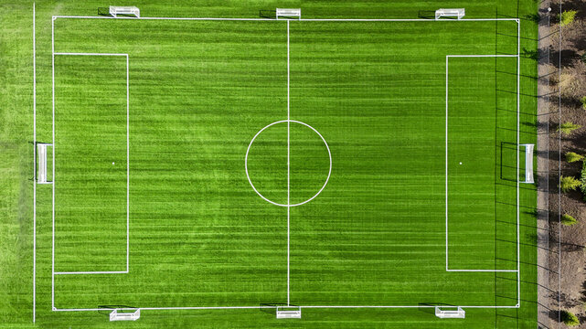 A soccer field with a white goal and a white circle in the middle. The field is green and well maintained