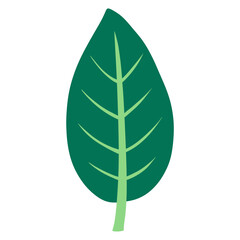 green leaf cartoon illustration 