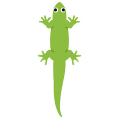 green lizard cartoon illustration 