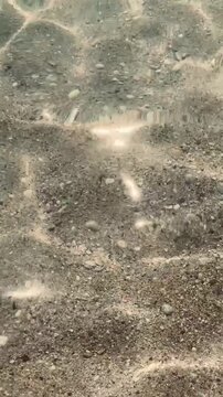 Sun in the water. Vertical video.