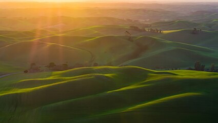 Golden hour sunlight illuminates rolling green hills and valleys in a serene rural landscape
