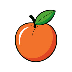 Colored apricot. Apricot icon isolated on white background. Vector illustration.