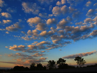Beautiful evening with sunset light.