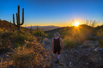 Hiker in a straw hat walking along King Canyon Trail surrounded by saguaros at sunset in Saguaro National Park West near Tucson, Arizona.