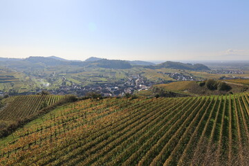 Blick auf die Naturlandschaft des Kaiserstuhls in Baden-Württemberg	