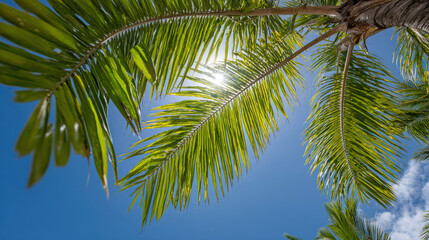 Fototapeta premium experience enchanting essence of hawaii with sunlight streaming through palm trees creating magical dance of light