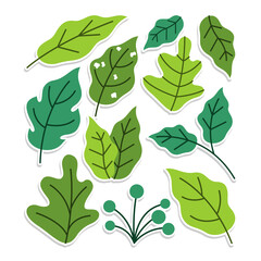 Home plant cartoon style. potted plant isolated on white