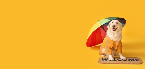Funny dog in raincoat and with umbrella on yellow background with space for text