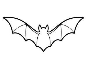 Fototapeta premium bat vector illustration