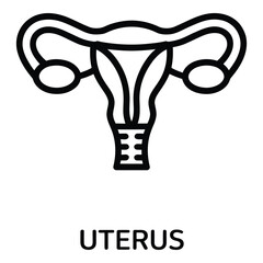 Uterus and reproductive system illustration for medical educational content and anatomical diagrams for women health care silhouette