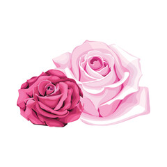Make a Professional Rose Illustration Vector Art
