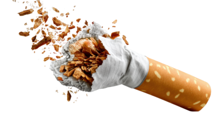 cigarette on white background