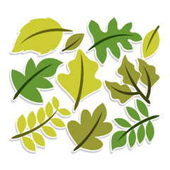 Home plant cartoon style. potted plant isolated on white