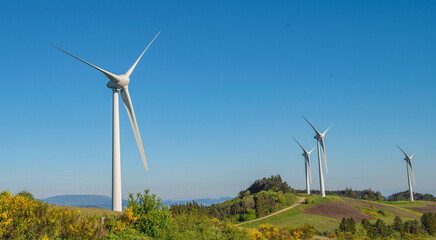 field of windmill under blue sky in greenery meadow