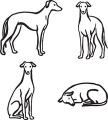 Hand-drawn whimsicall Sighthound dogs.