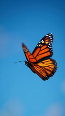 Obraz premium Butterfly in Flight Against Blue Sky