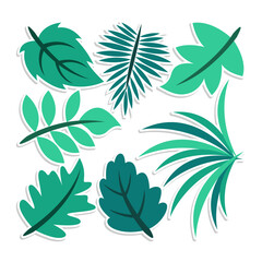 Home plant cartoon style. potted plant isolated on white