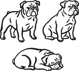 Hand-drawn Bulldog dogs in different poses.