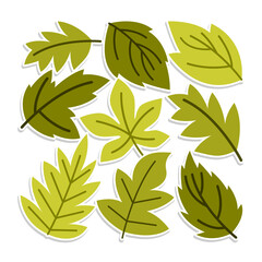 Home plant cartoon style. potted plant isolated on white