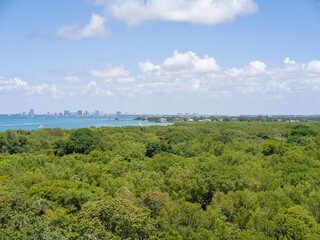 Aerial view of Miami skyline in the distance beyond lush green mangroves under a bright blue sky, showcasing the unique contrast between Florida’s tropical nature and vibrant urban cityscape.