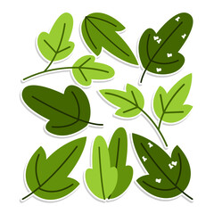 Home plant cartoon style. potted plant isolated on white