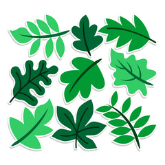 Home plant cartoon style. potted plant isolated on white