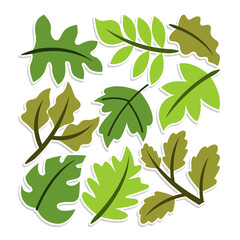 Home plant cartoon style. potted plant isolated on white