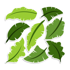 Home plant cartoon style. potted plant isolated on white