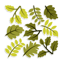 Home plant cartoon style. potted plant isolated on white