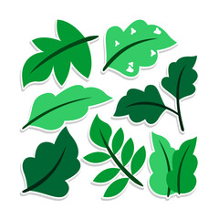 Home plant cartoon style. potted plant isolated on white