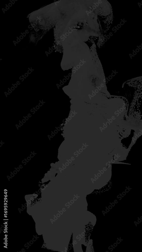 Wall mural dark gray wispy smoke flow loop on alpha transparent background