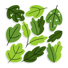 Home plant cartoon style. potted plant isolated on white