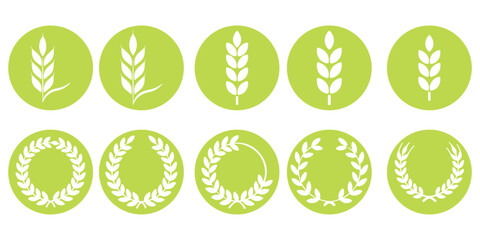 Wheat ear icons set vector silhouettes. Black wheat spikelet vector collection. Set of wheat stalk. Cereal plant silhouettes. Wheat silhouettes. Wheat vector icons. Design eps 10