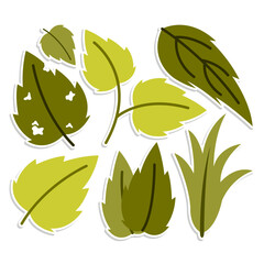 Home plant cartoon style. potted plant isolated on white