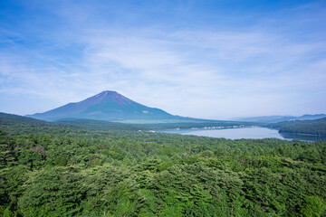 パノラマ台から見る夏の富士山