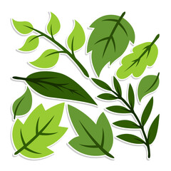 Home plant cartoon style. potted plant isolated on white