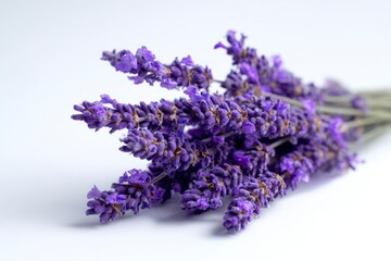 A bundle of lavender flowers purple and fragrant resting on a white surface with soft shadows