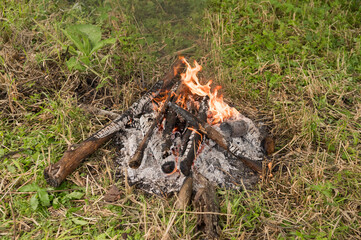 Campfire on green grass with burning logs in outdoor setting