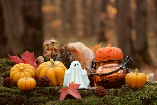 ghost figurine and witch cauldron with decorative halloween pumpkins in autumnal forest, nature backdrop. Halloween background. Magic, witchcraft, mystery fairy tale atmosphere. Fall season decor