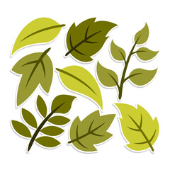 Home plant cartoon style. potted plant isolated on white