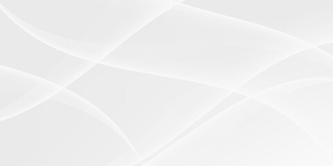 abstract white background with gradient color and artistic dynamic line decoration vector eps10