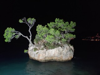 Night view of the famous Brela Rock (Kamen Brela) near Brela, Croatia. The small rocky islet with pine trees is beautifully illuminated, standing out against the dark Adriatic Sea. 