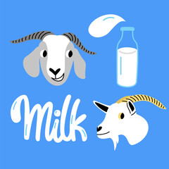 Vector set of illustrations with goat heads and milk